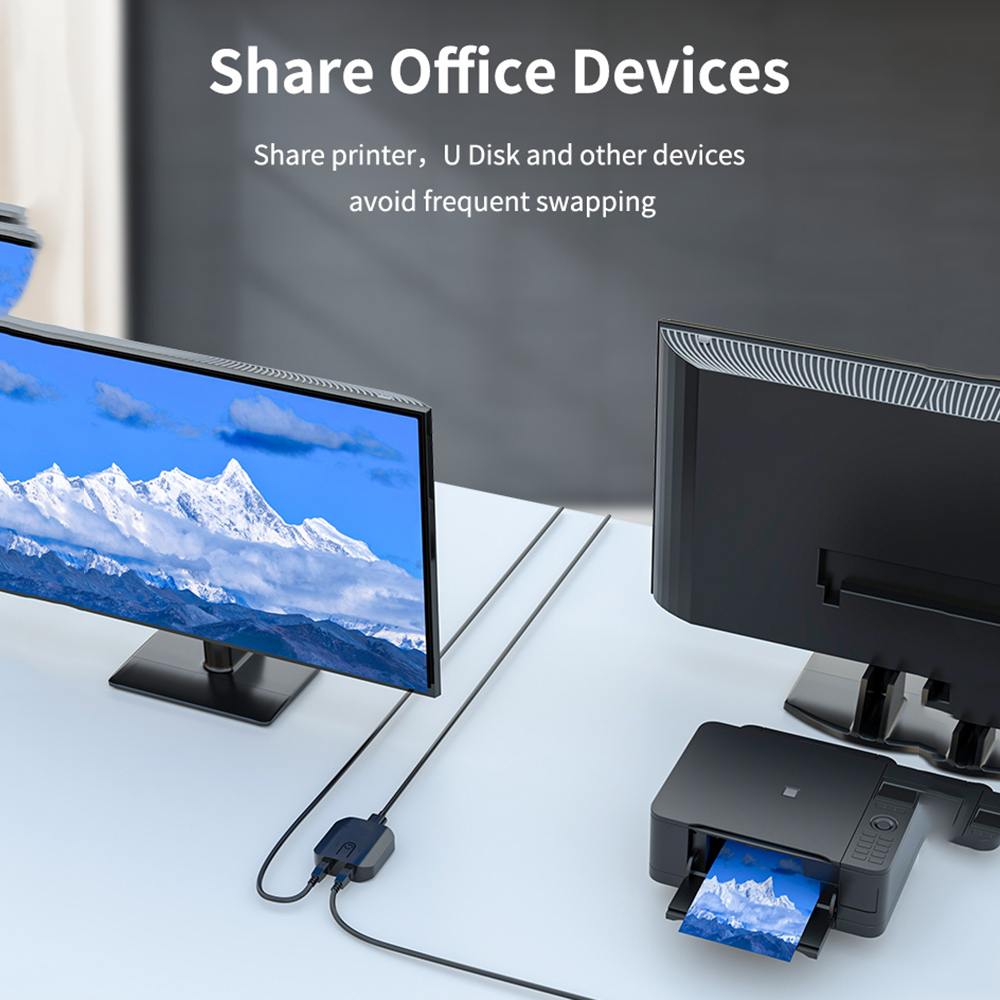 KVM 스위치 박스 선택기 듀얼 USB 스위치, 모니터 - Laptop Extra Accessories 리뷰 및 가격
